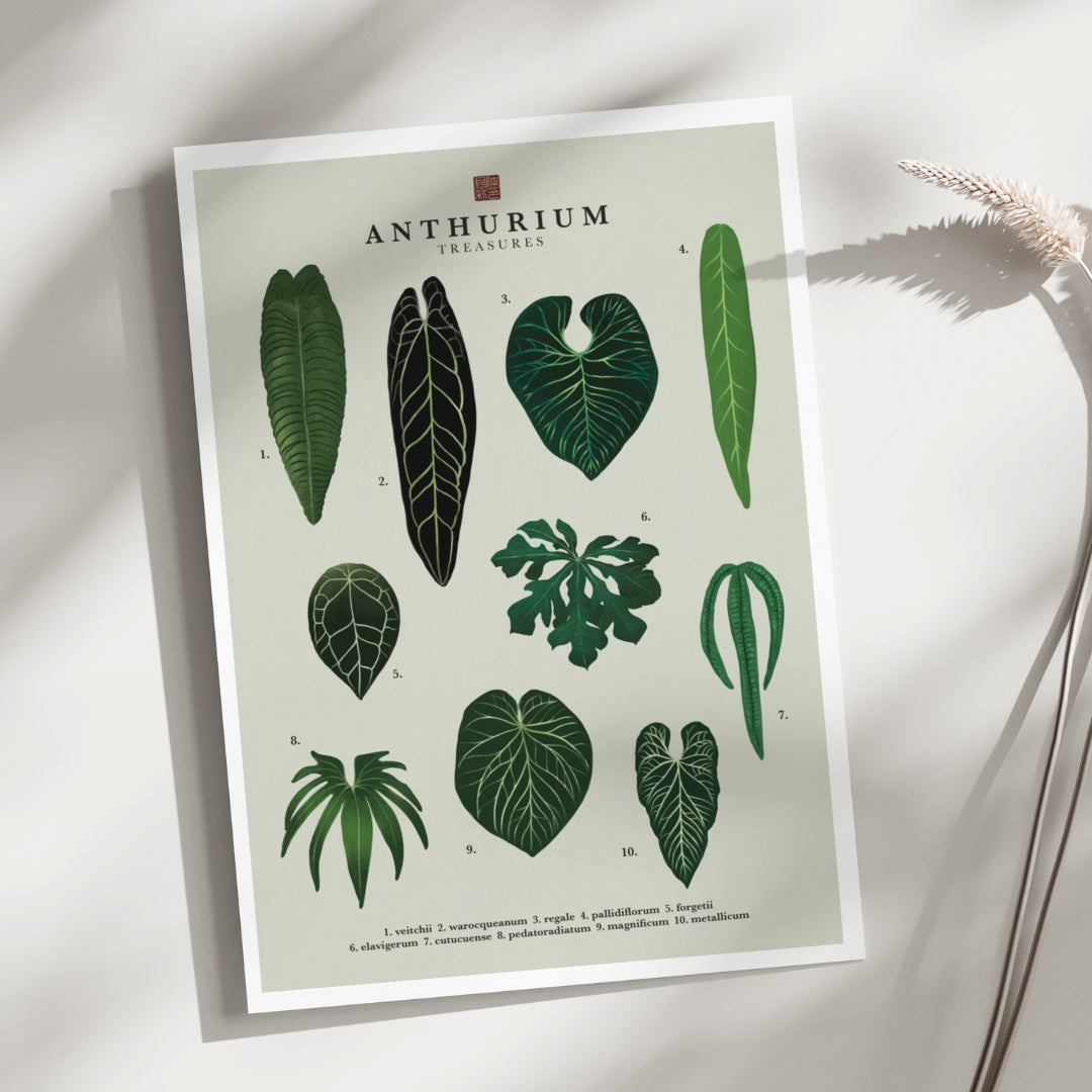 Anthurium | Art Print