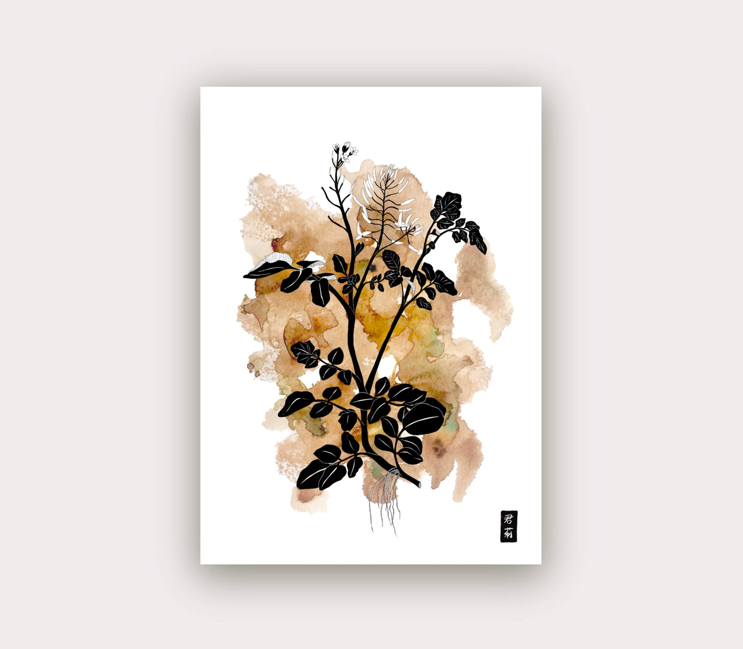 Watercress ❊ Health & Life | Cards