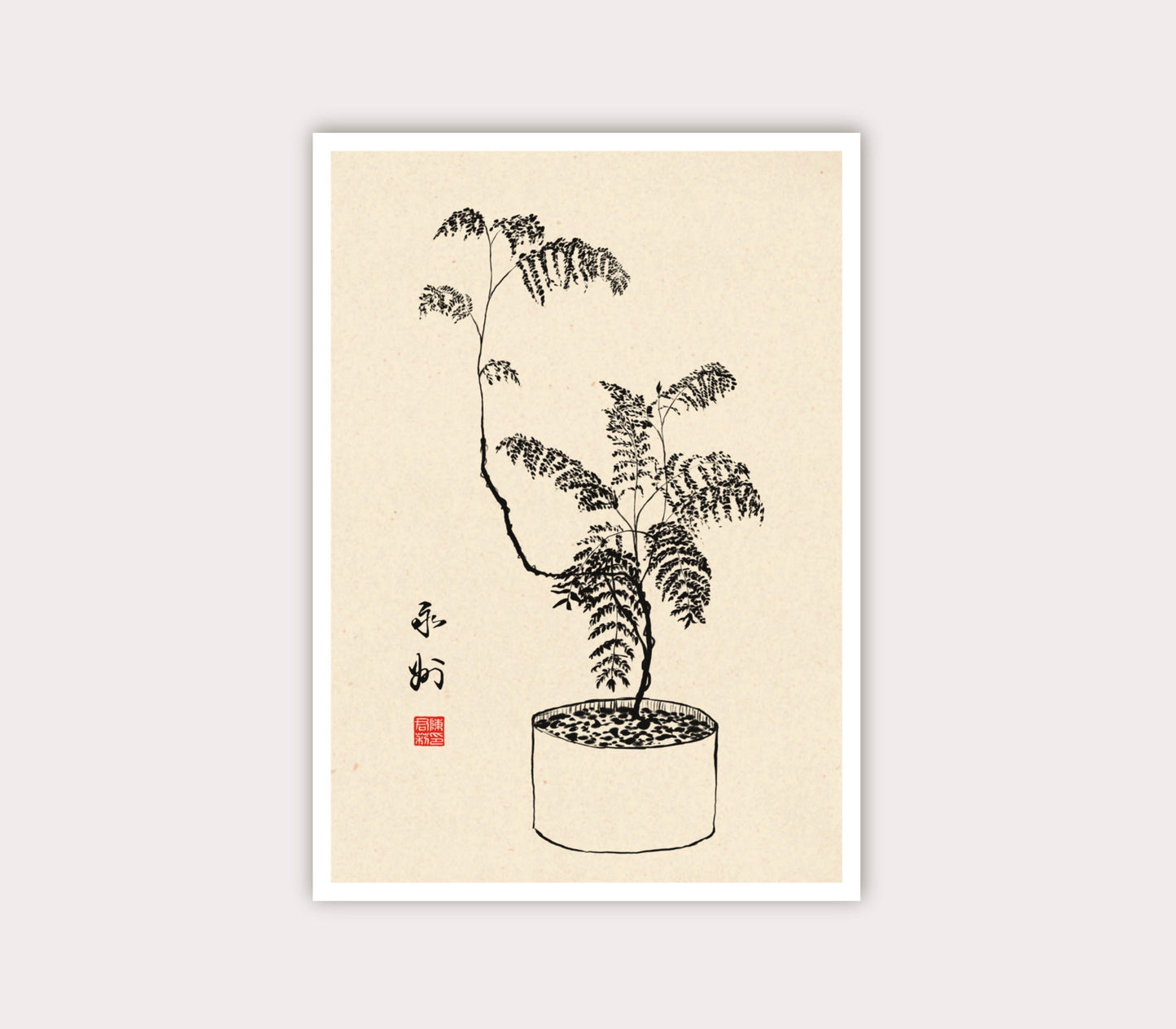 Jacaranda ❊ Ever Lasting | Cards