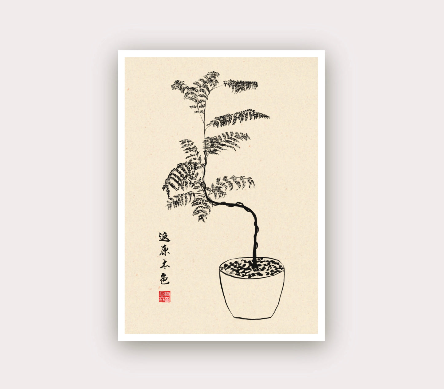 Jacaranda ❊ Back To The Origins | Cards