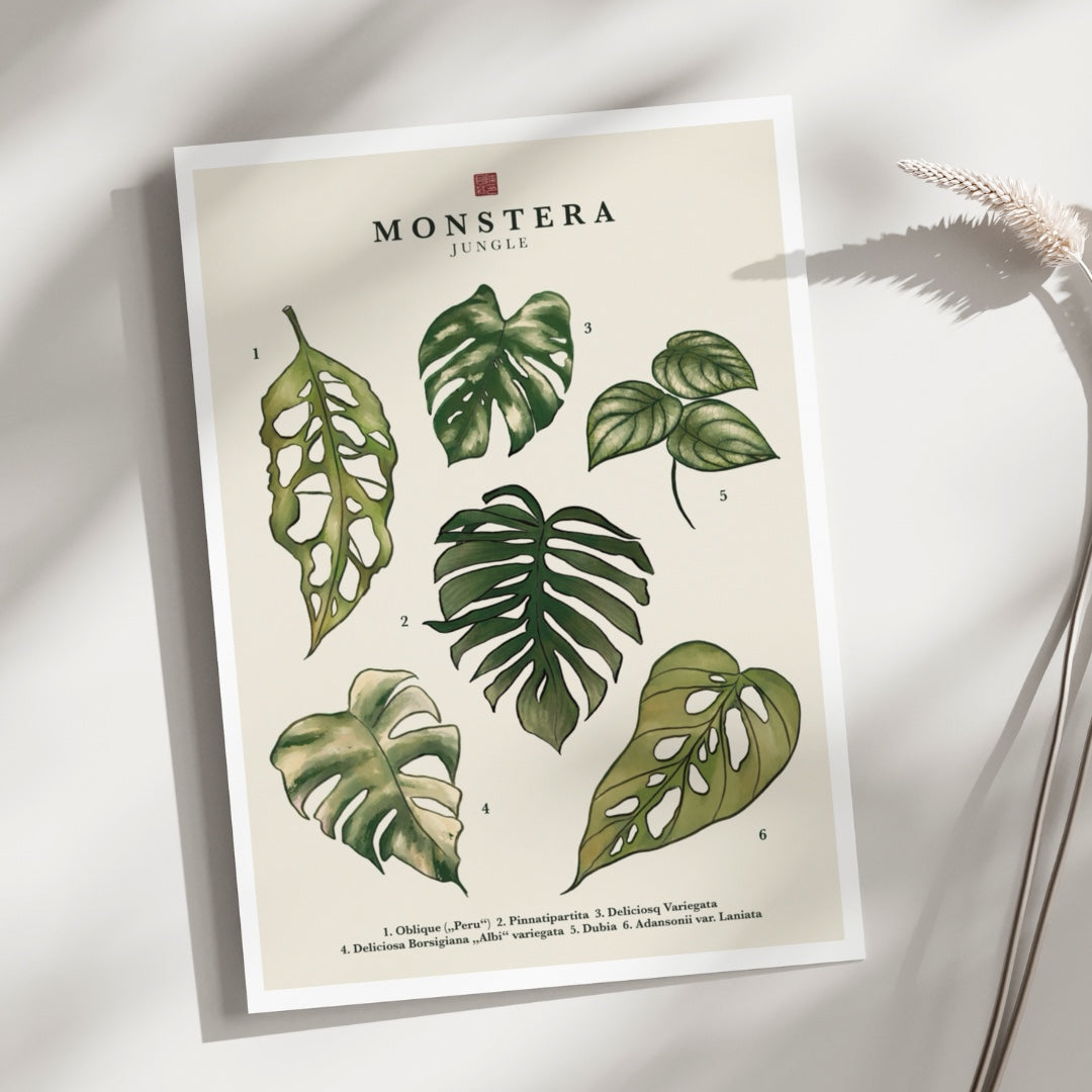 Monstera | Art Print