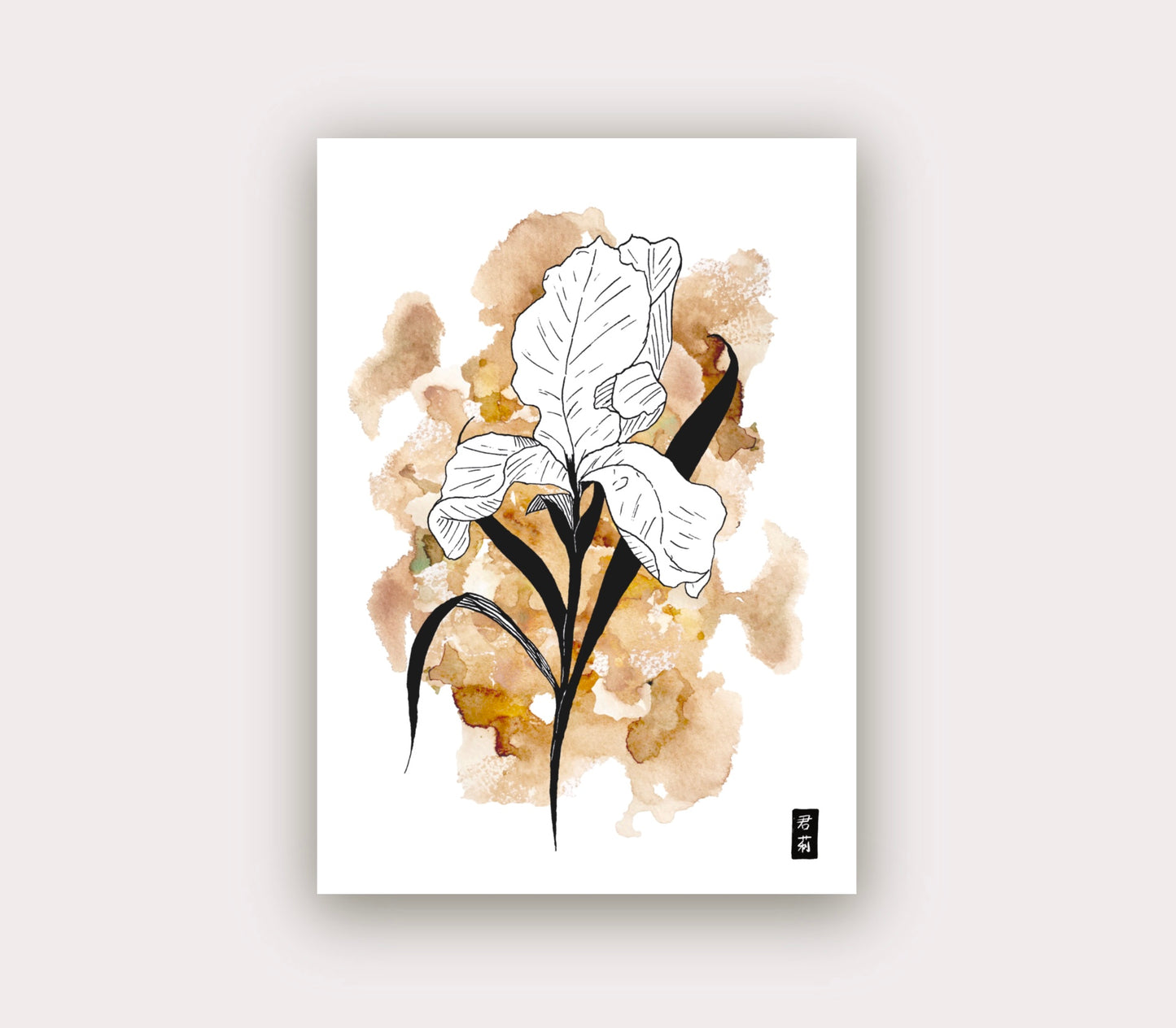 Iris ❊ Between Heaven & Earth | Cards