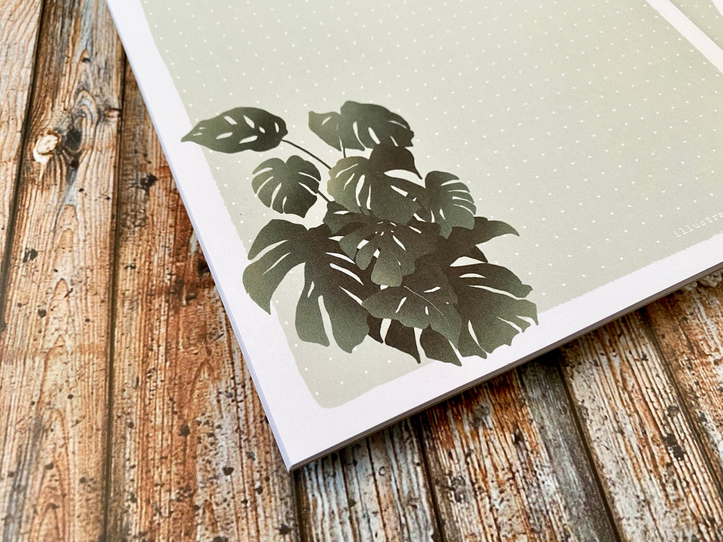 Fresh Monstera | A5 Notepad (dotted)