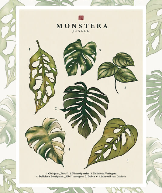 Monstera | Art Print