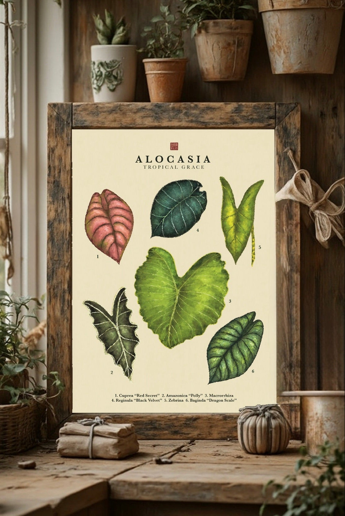 Alocasia | Art Print