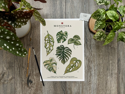 Monstera | Art Print