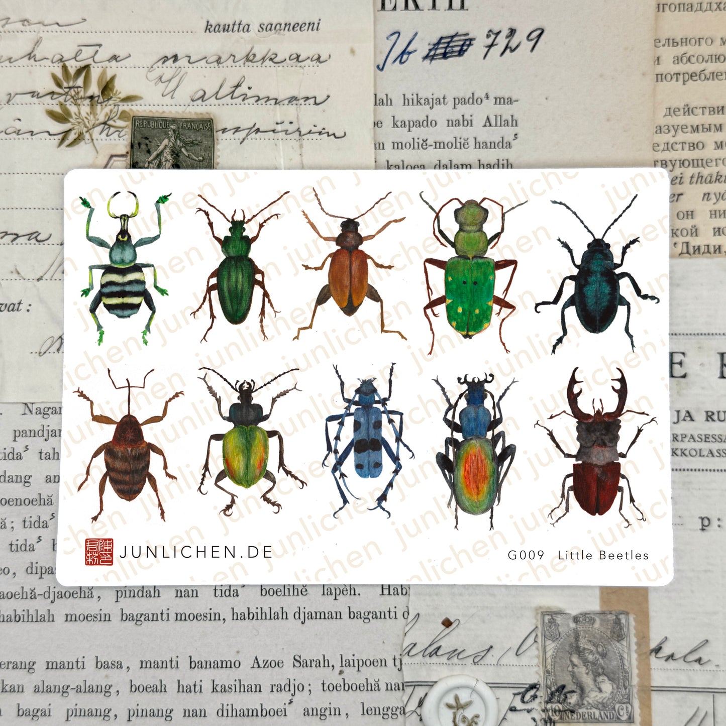 Little Beetles Mix | Transparent Sticker Sheet