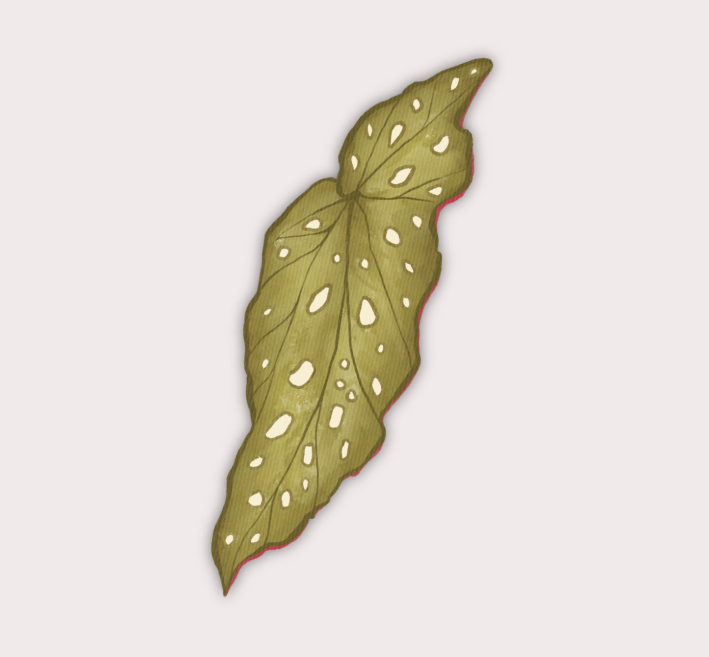 Begonia leaf | Clear Vinylsticker