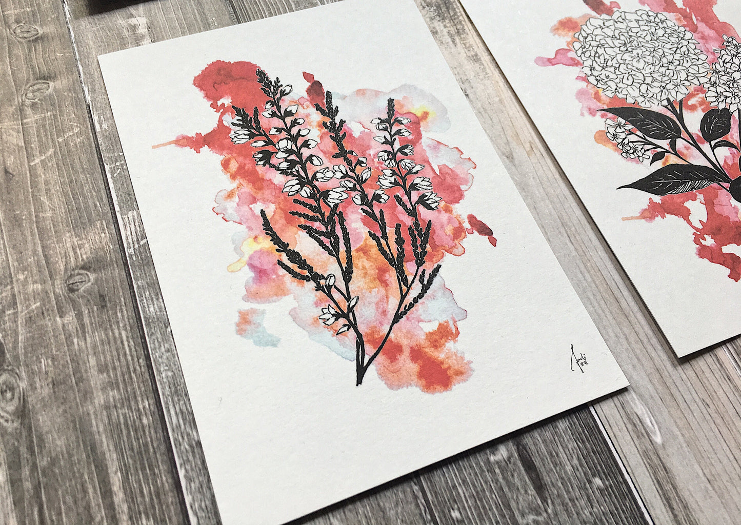 Flower Language Ruby Set | Art Prints